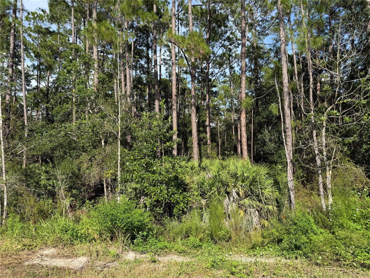 10th Ave, Deland, FL 32724