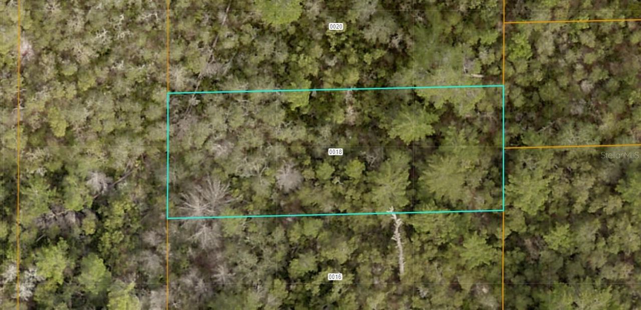 Evelyn (paper) St, Deltona, FL 32738