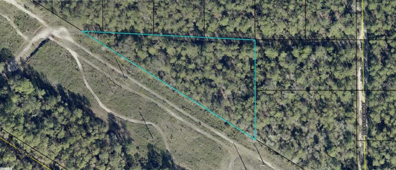 Eddie St, Hastings, FL 32145