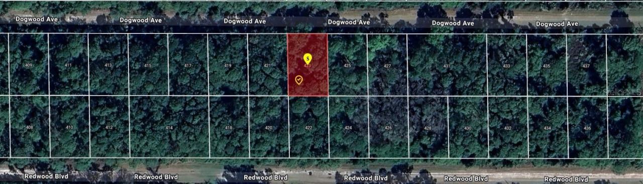 423 Dogwood Ave, Georgetown, FL 32139