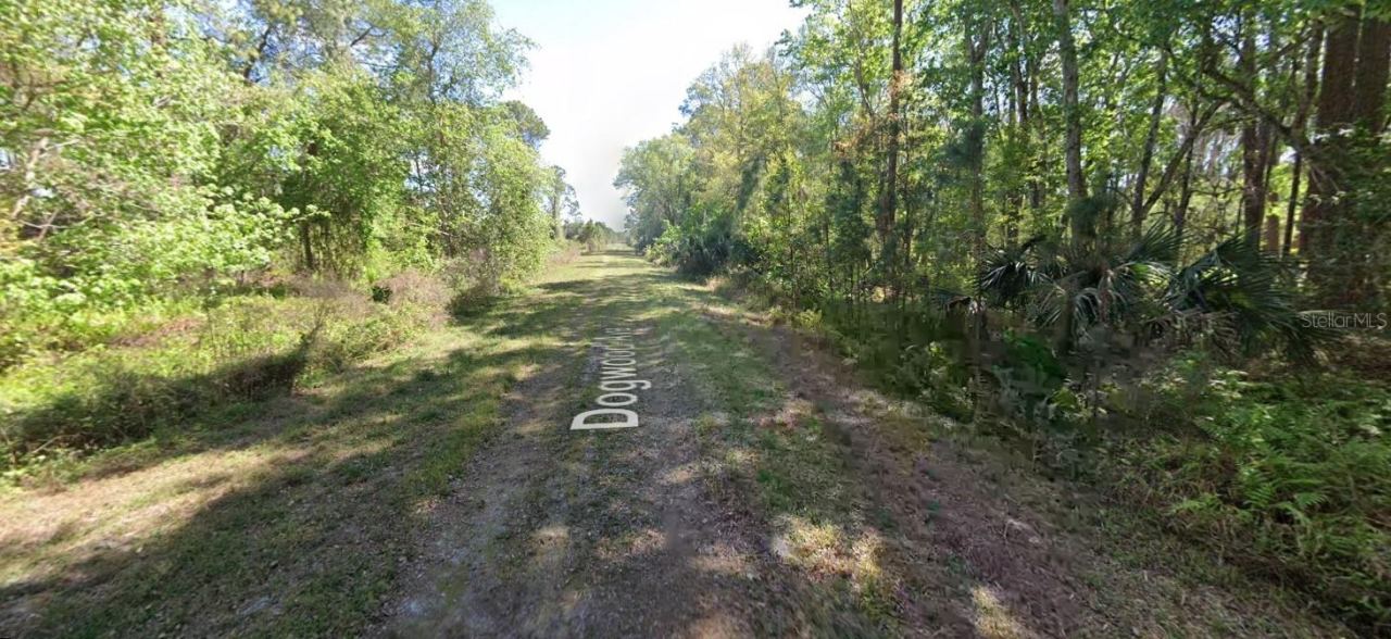 Photo 2 of 423 Dogwood Ave, Georgetown, FL 32139
