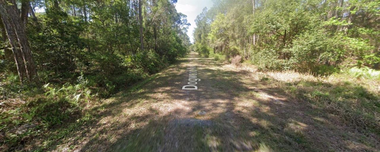 Photo 3 of 423 Dogwood Ave, Georgetown, FL 32139