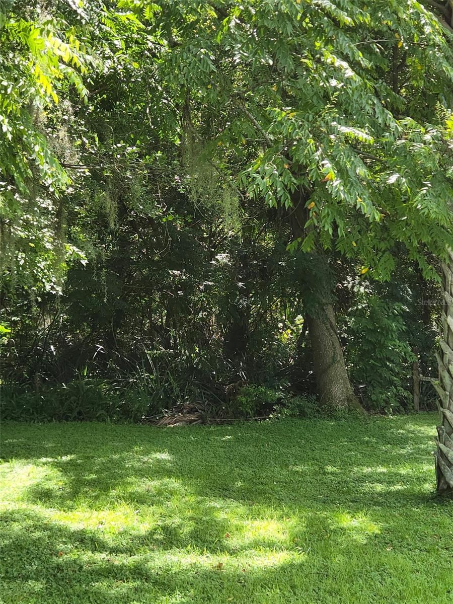 Photo 2 of Dutton Ave, Deland, FL 32720