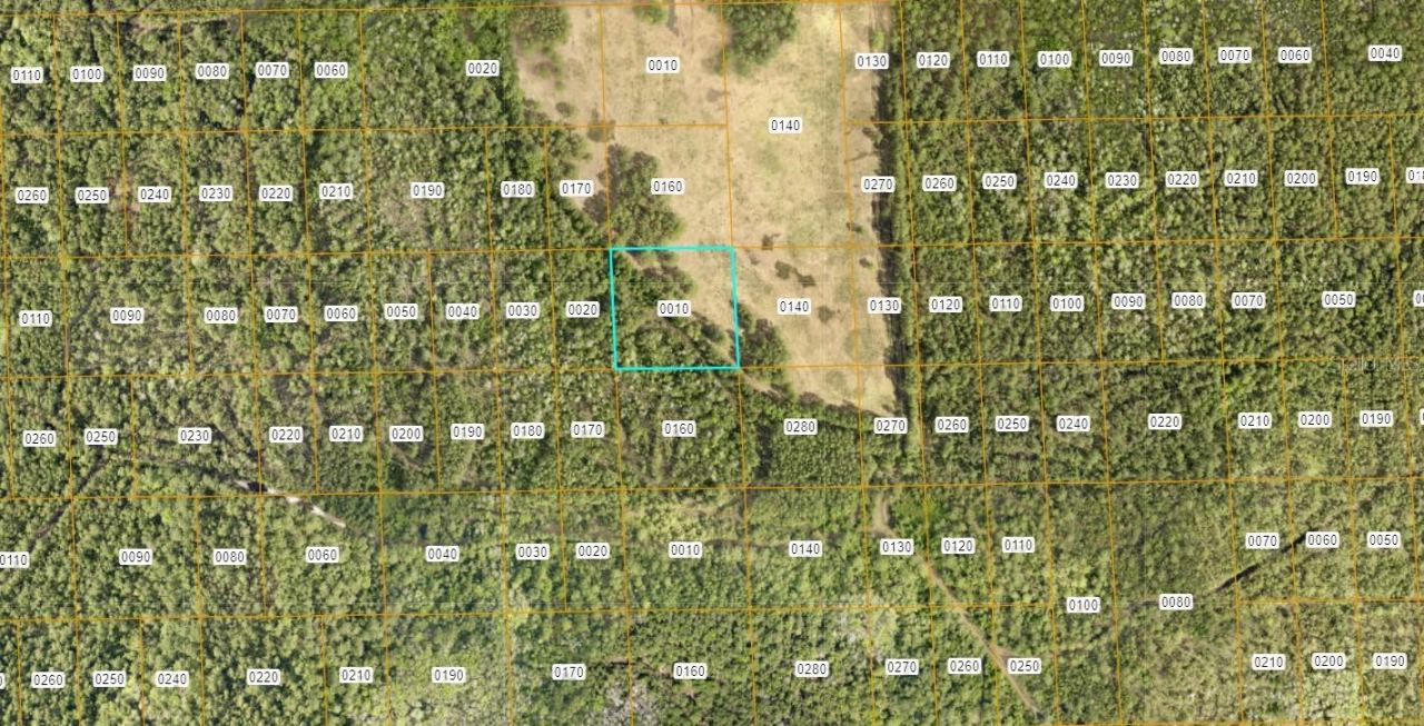 Photo 2 of 7106-01-04-0010 No St, Deland, FL 32724