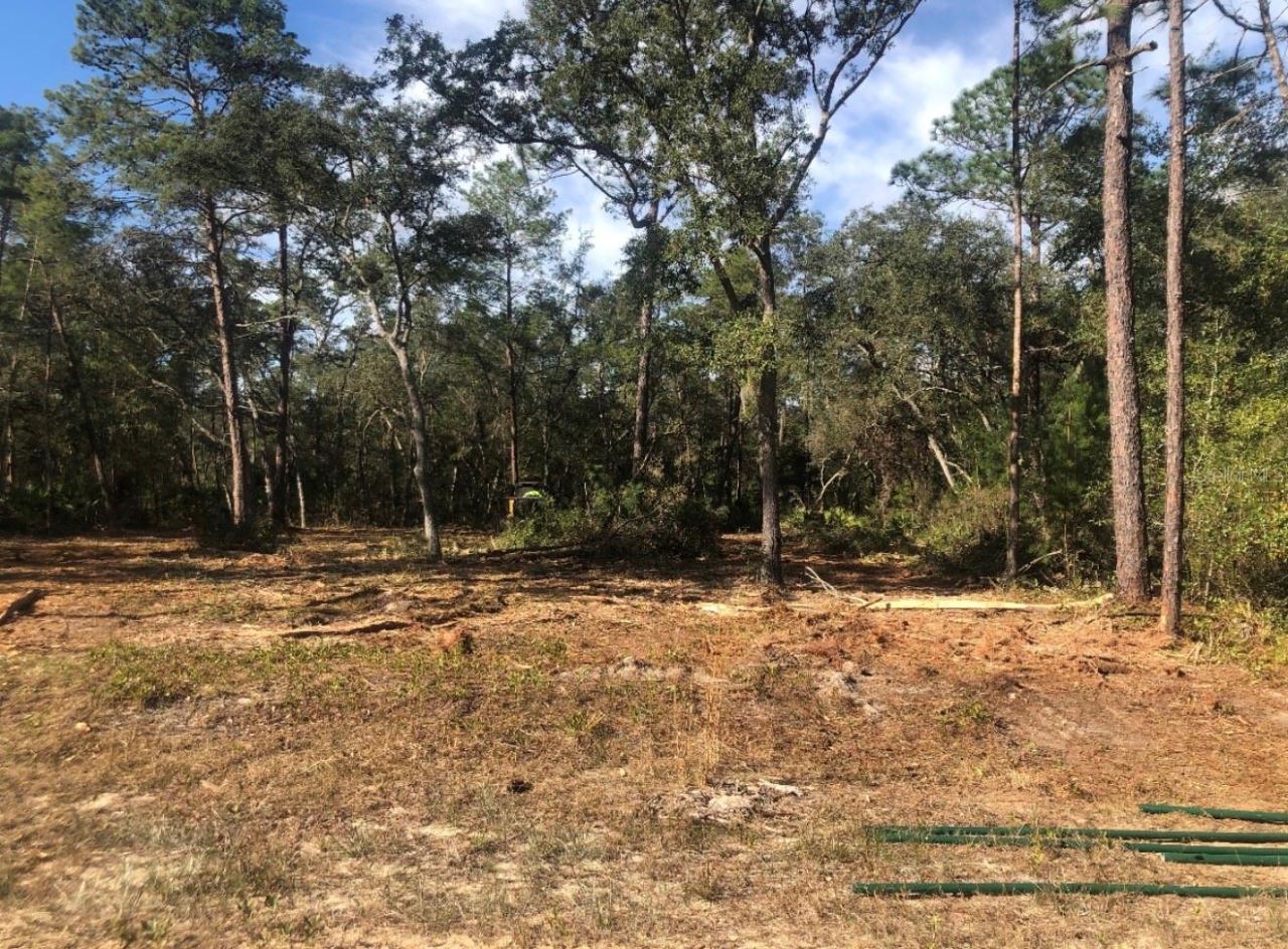 Photo 3 of 819 Creageer Ave, Interlachen, FL 32148