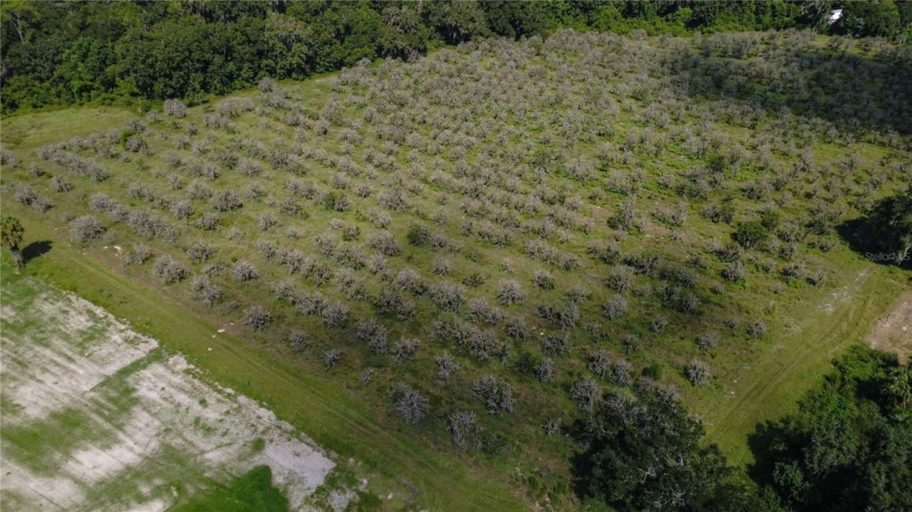 Holly Hammock Rd, De Leon Springs, FL 32130