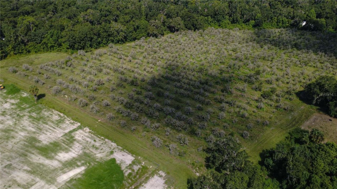 Photo 2 of Holly Hammock Rd, De Leon Springs, FL 32130
