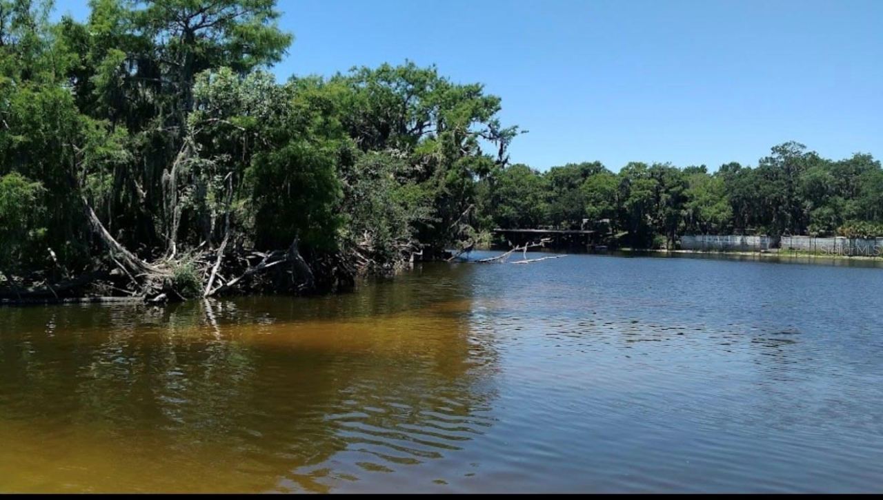 1041 Lemon Bluff Rd, Osteen, FL 32764