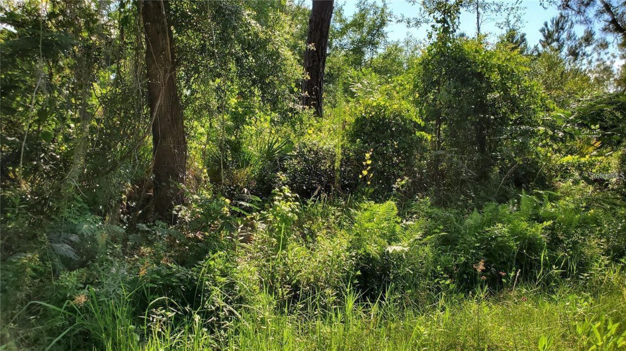 103 Bowfin Dr, Satsuma, FL 32189