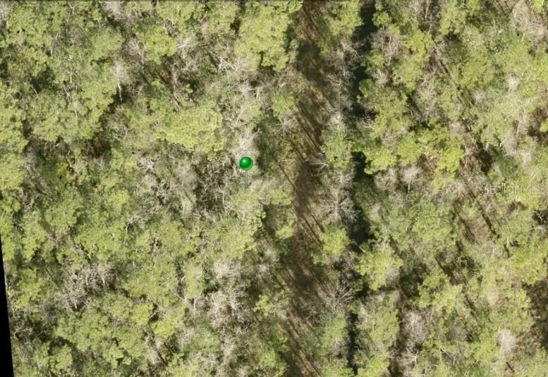 No St, Lake Helen, FL 32744
