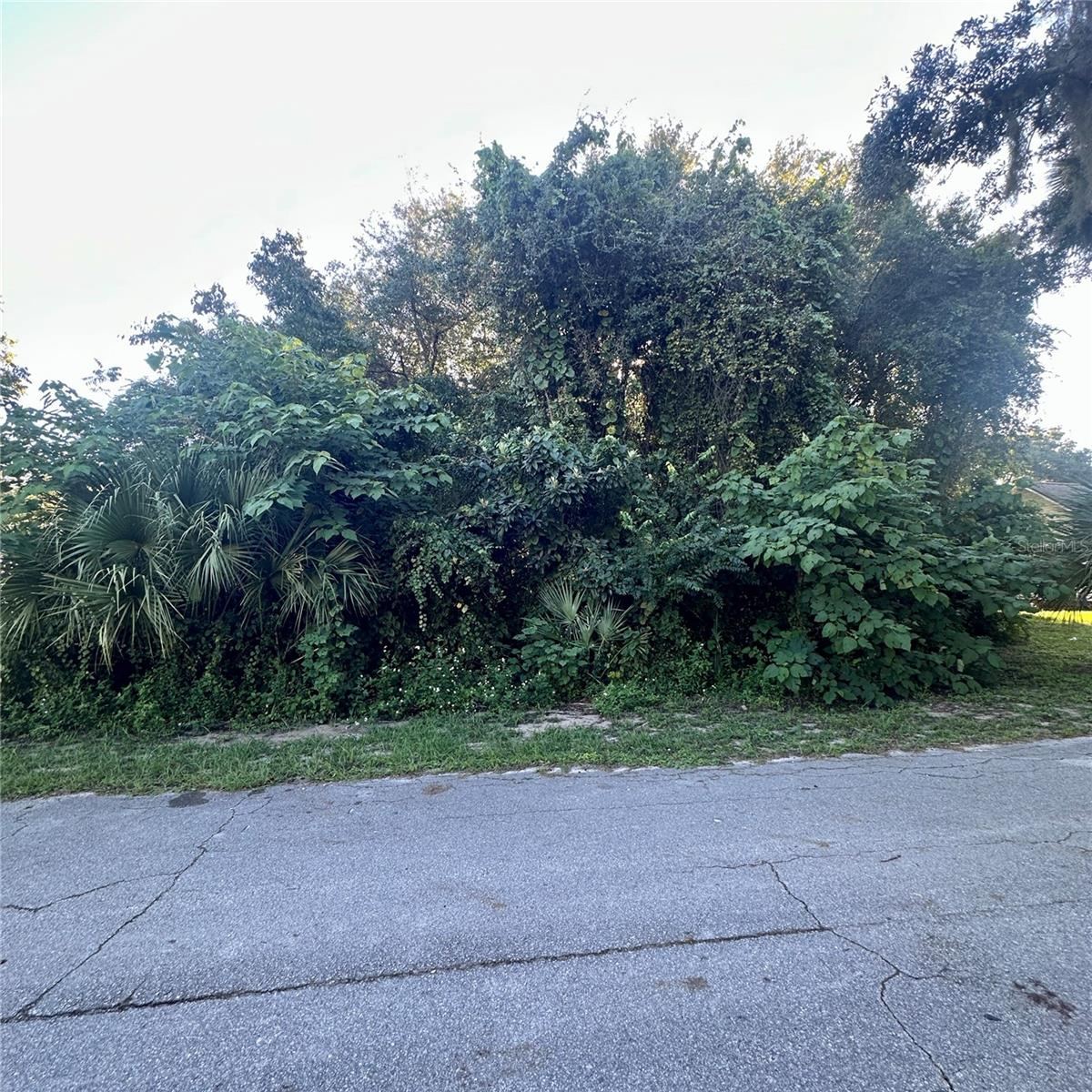 Photo 2 of 0 Oak St, Oak Hill, FL 32759