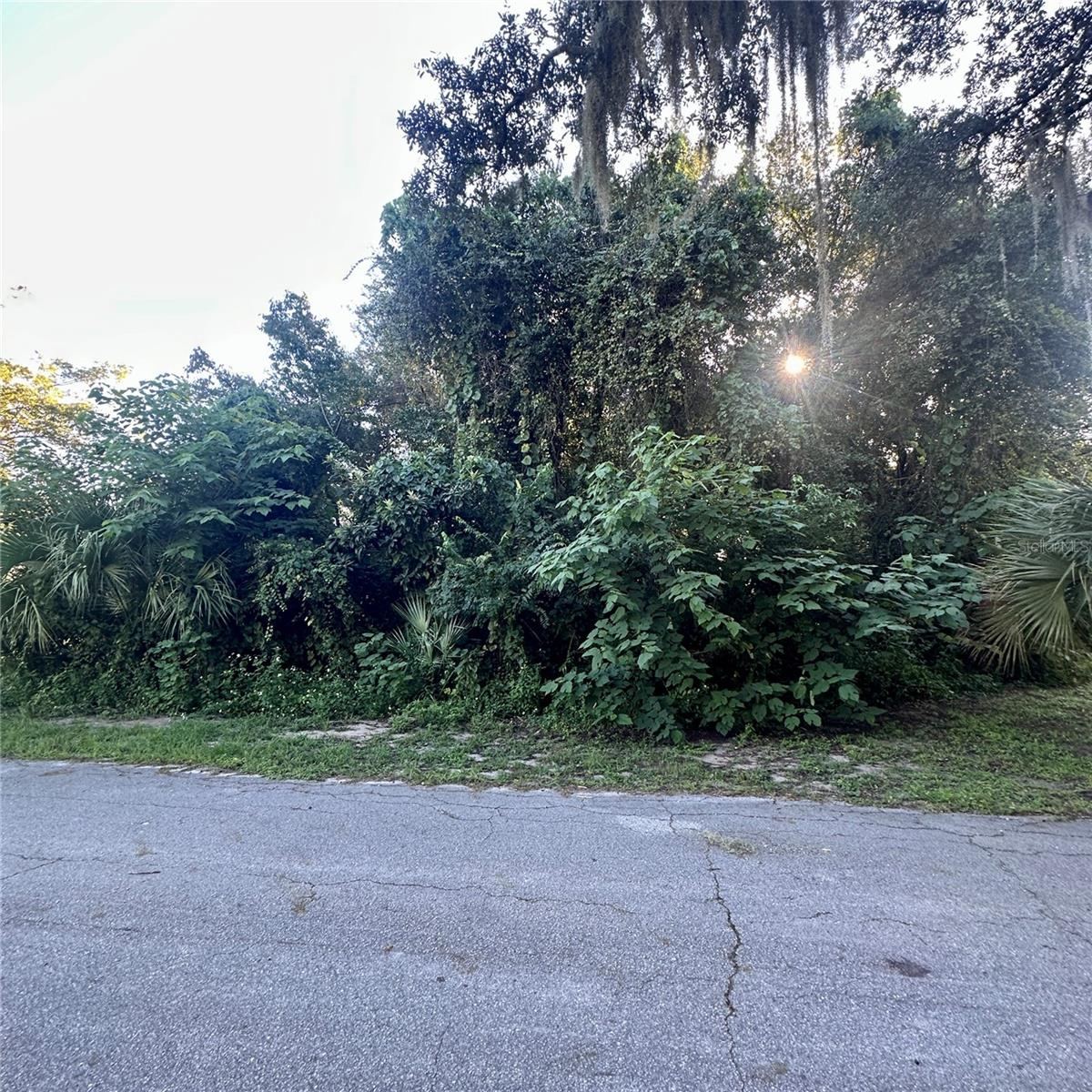 Photo 3 of 0 Oak St, Oak Hill, FL 32759