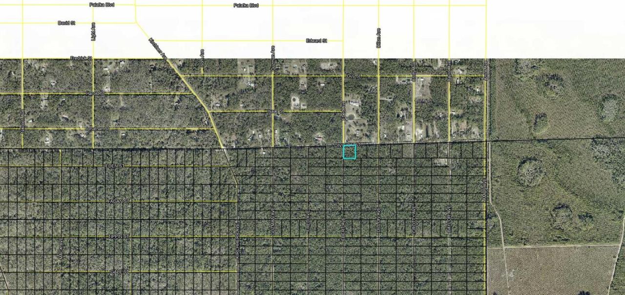 Xxx Division St, Hastings, FL 32145