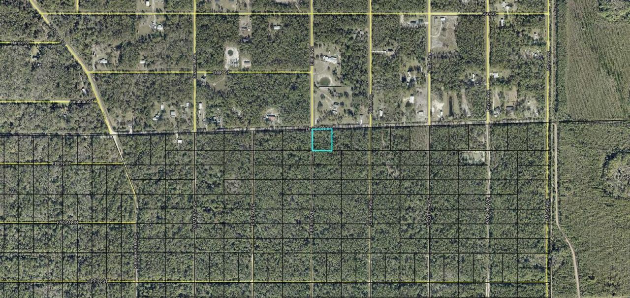 Photo 2 of Xxx Division St, Hastings, FL 32145