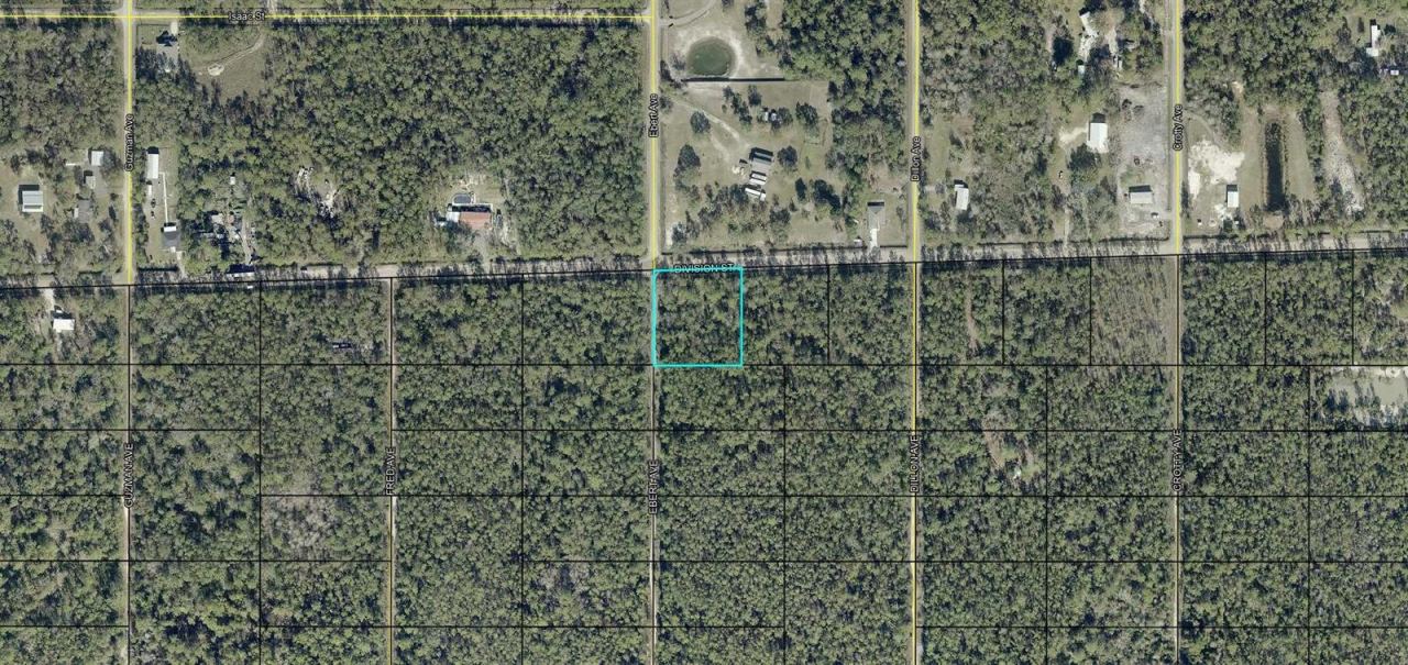 Photo 3 of Xxx Division St, Hastings, FL 32145