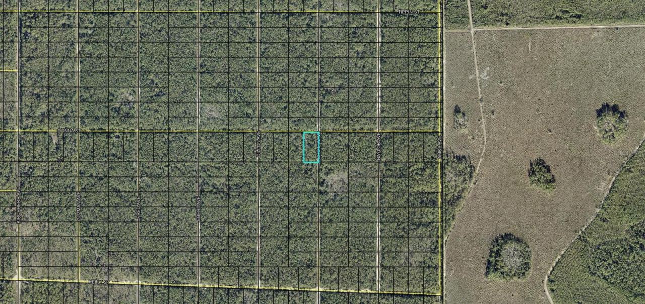 Xxx Donna St, Hastings, FL 32145
