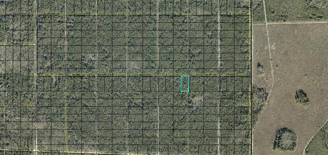 Photo 3 of Xxx Donna St, Hastings, FL 32145