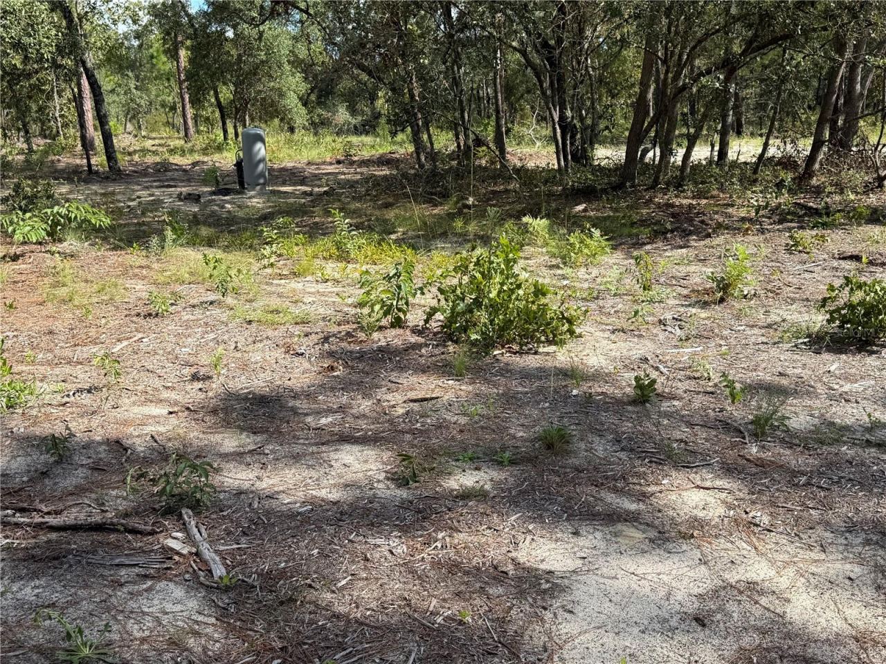 Photo 3 of 164 Melrose Landing Blvd, Hawthorne, FL 32640