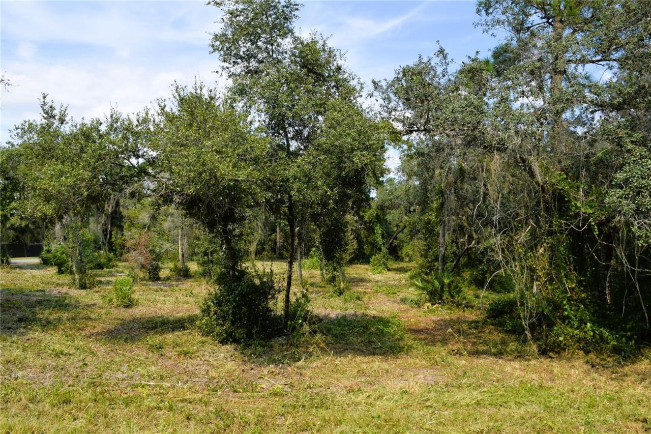 625 Lake Butler Ave, Osteen, FL 32764