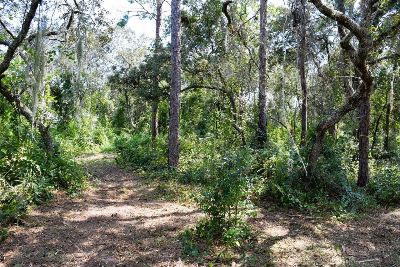 Photo 2 of 625 Lake Butler Ave, Osteen, FL 32764