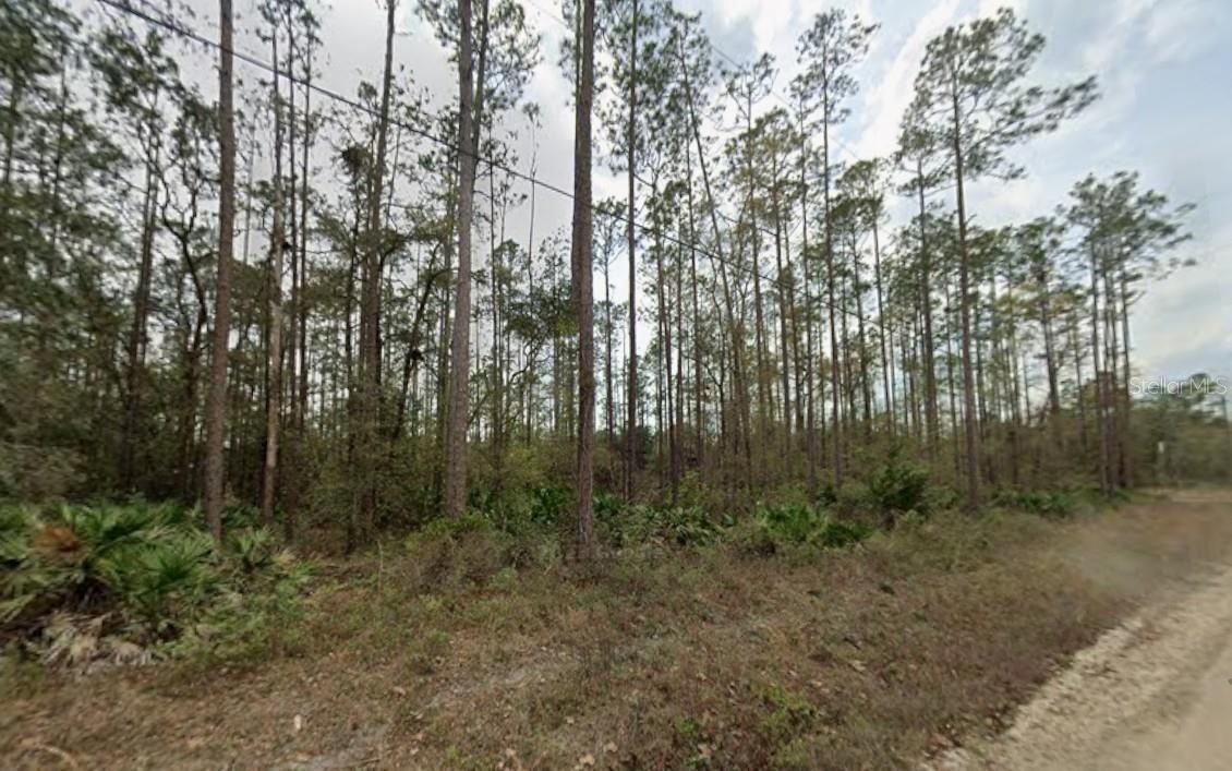 0 Glisson St, Interlachen, FL 32148