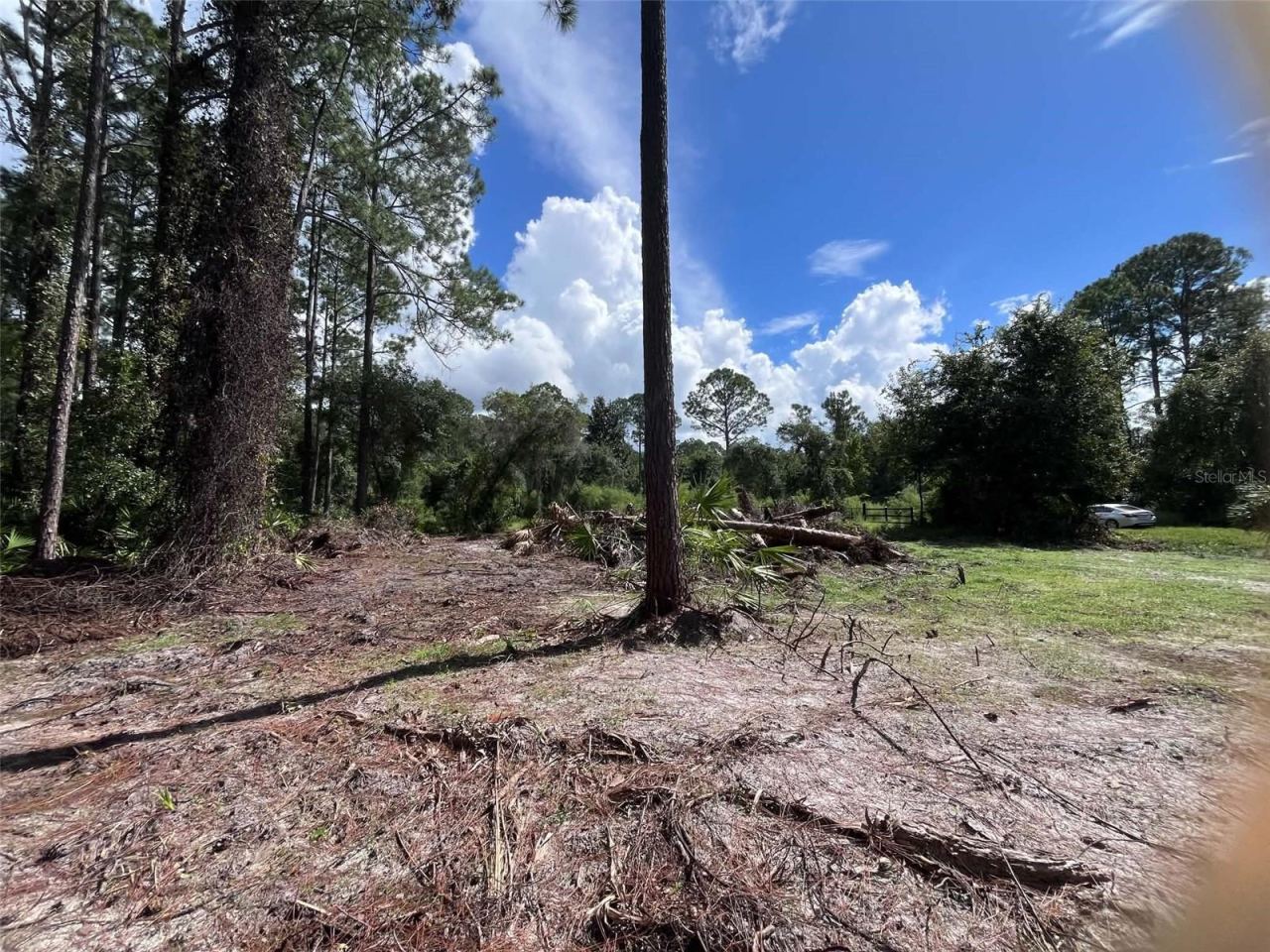 334 Redwood Blvd, Georgetown, FL 32139