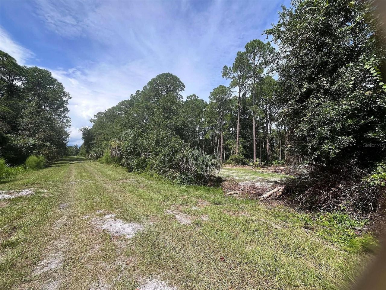 Photo 2 of 334 Redwood Blvd, Georgetown, FL 32139
