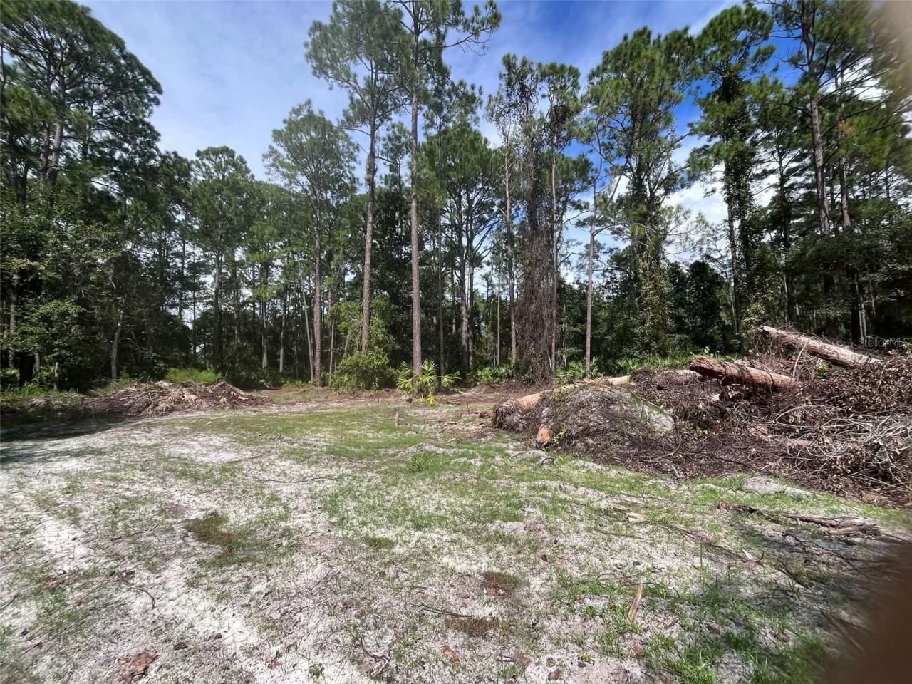 Photo 3 of 334 Redwood Blvd, Georgetown, FL 32139