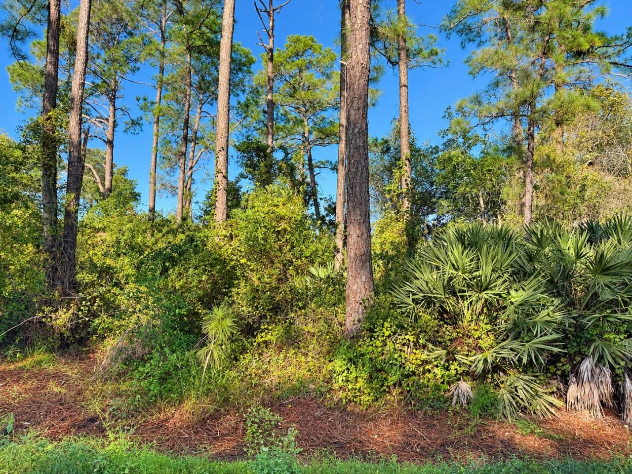 Photo 2 of 10th Ave, Deland, FL 32724