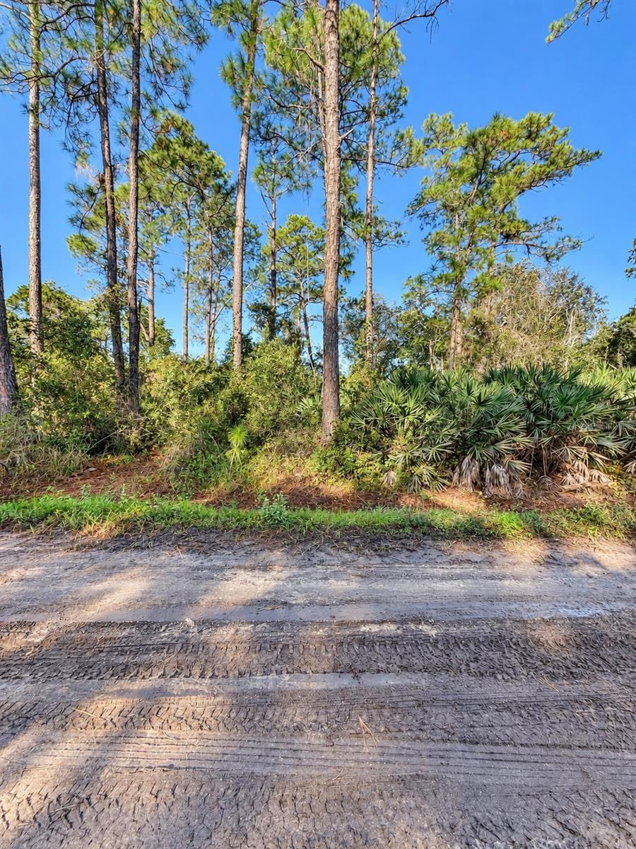 Photo 3 of 10th Ave, Deland, FL 32724