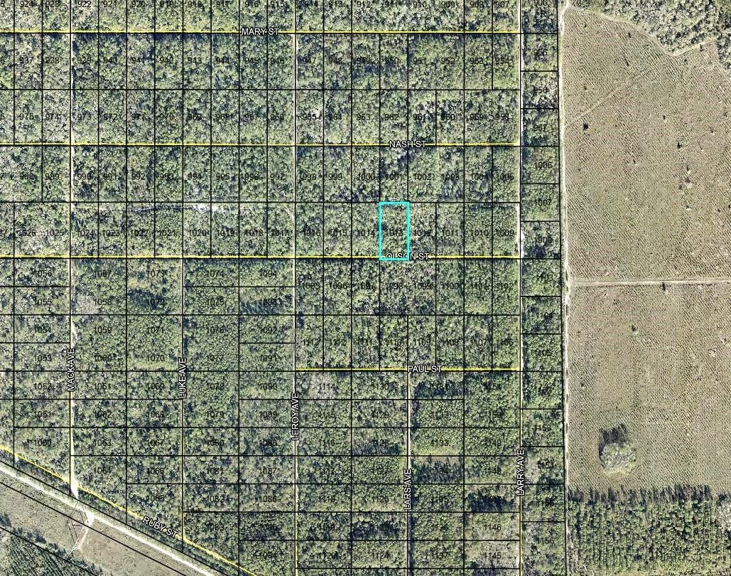 Lt 1013 Olson St, Hastings, FL 32145