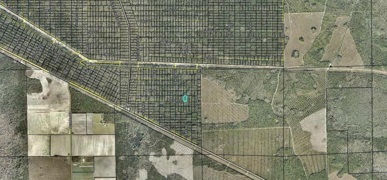 Photo 2 of Lt 1013 Olson St, Hastings, FL 32145