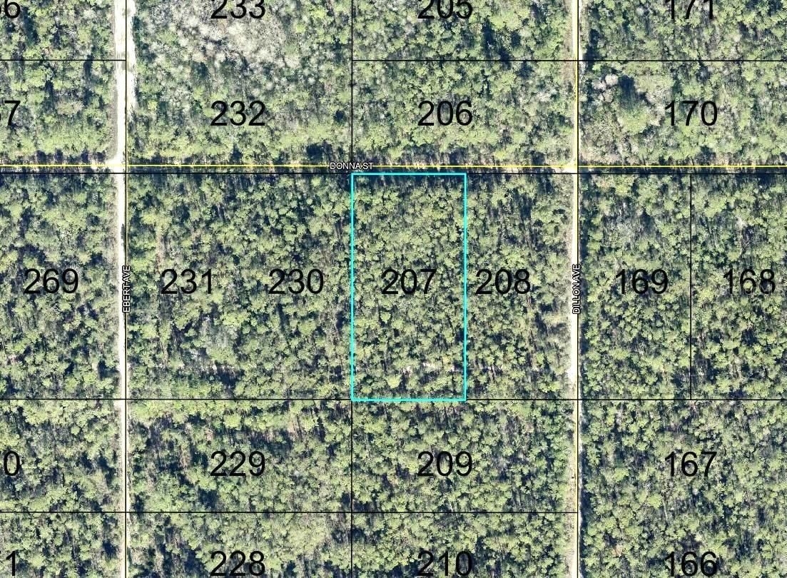 207 Donna St, Hastings, FL 32145