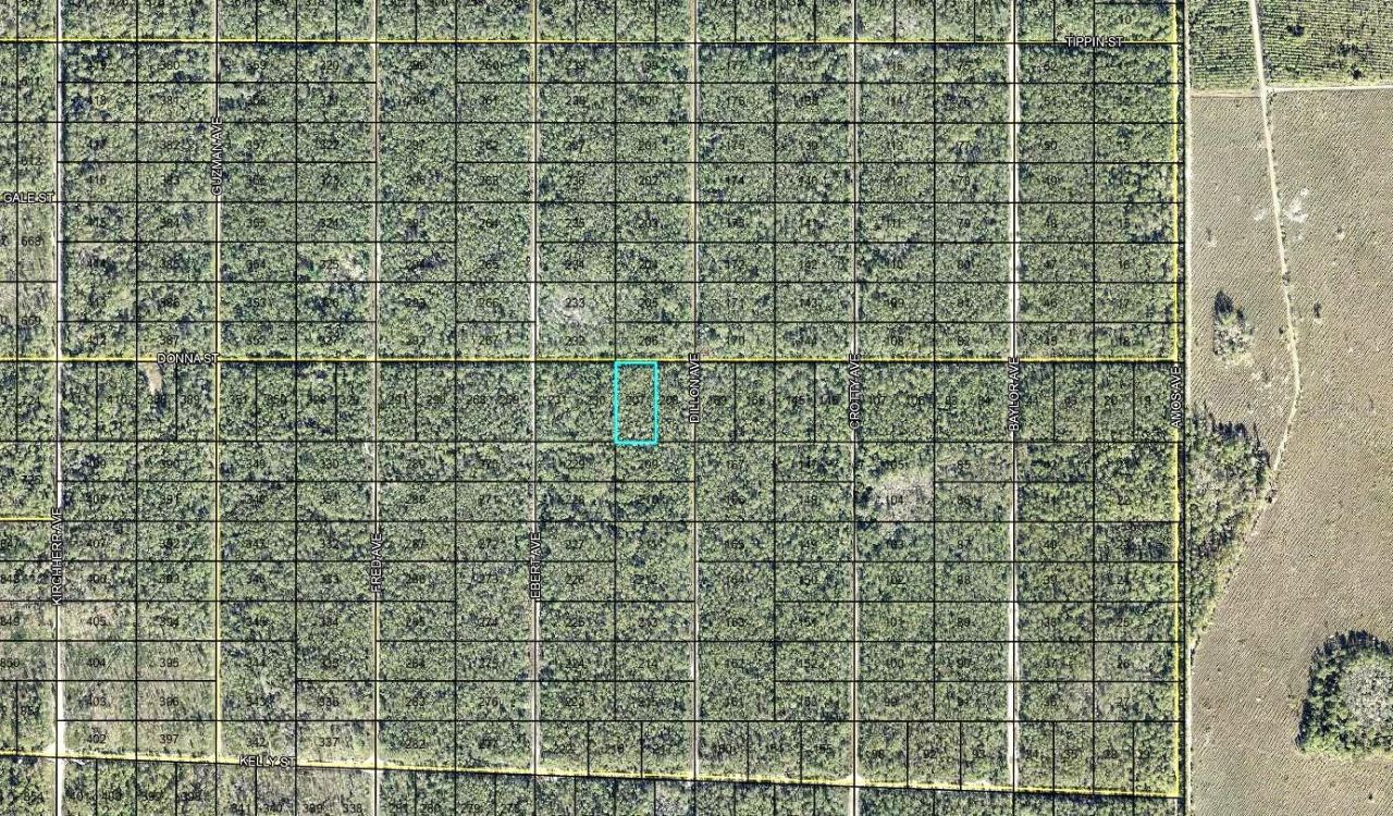 Photo 2 of 207 Donna St, Hastings, FL 32145