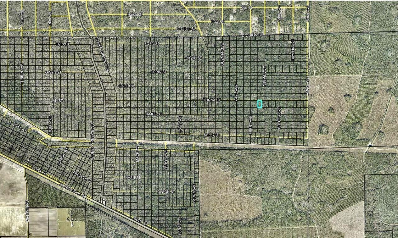Photo 3 of 207 Donna St, Hastings, FL 32145