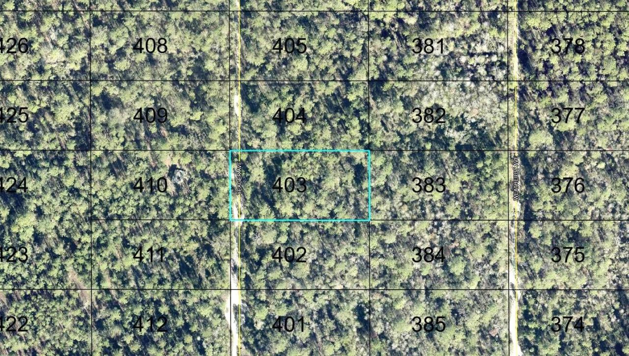 403 Yeager Ave, Hastings, FL 32145