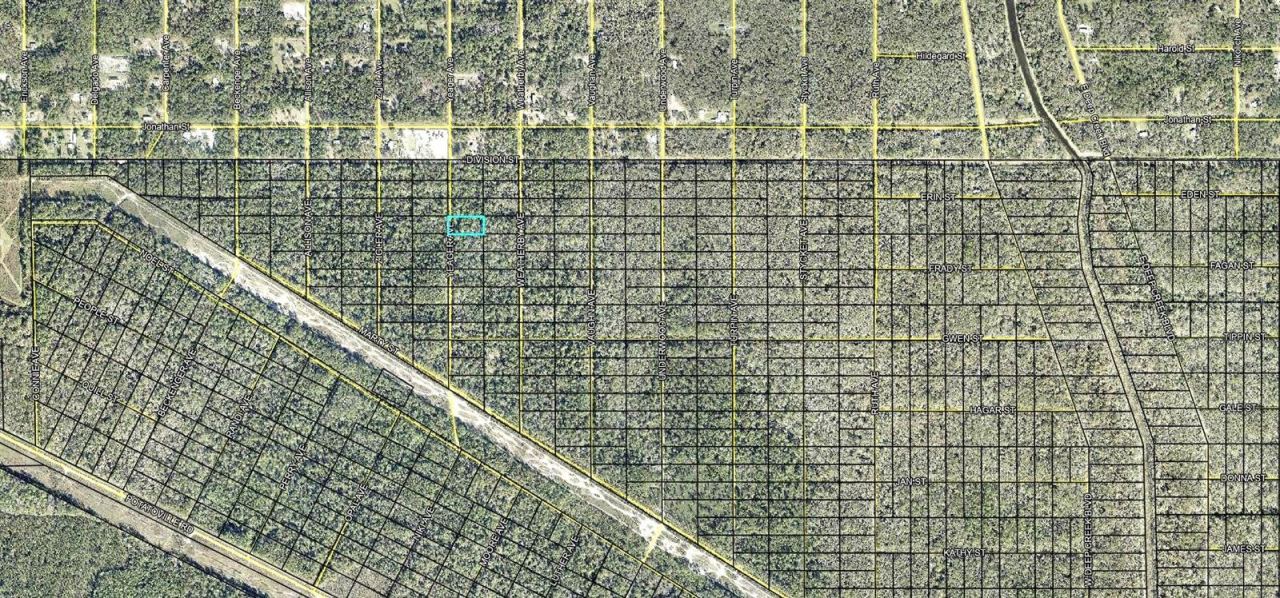 Photo 3 of 403 Yeager Ave, Hastings, FL 32145