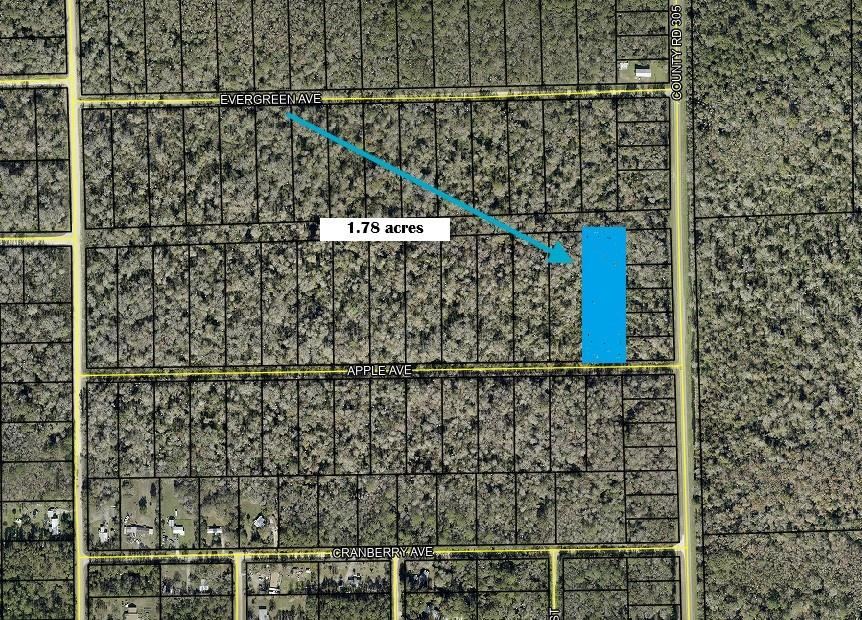 3540 Apple Ave, Bunnell