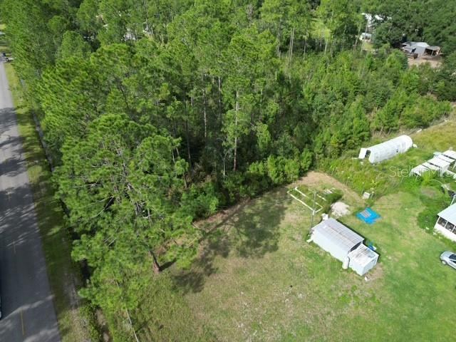 Photo 3 of 9810 Crotty Ave, Hastings, FL 32145