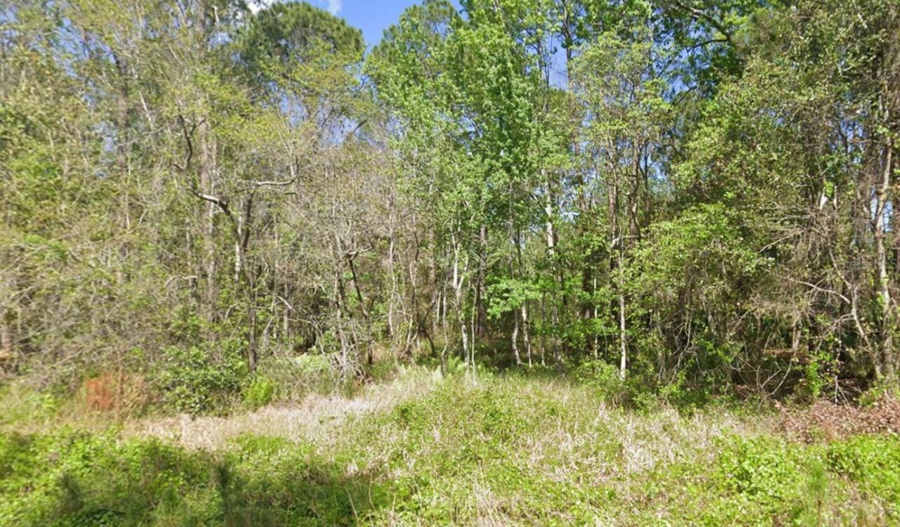 217 Dogwood Ave, Georgetown, FL 32139