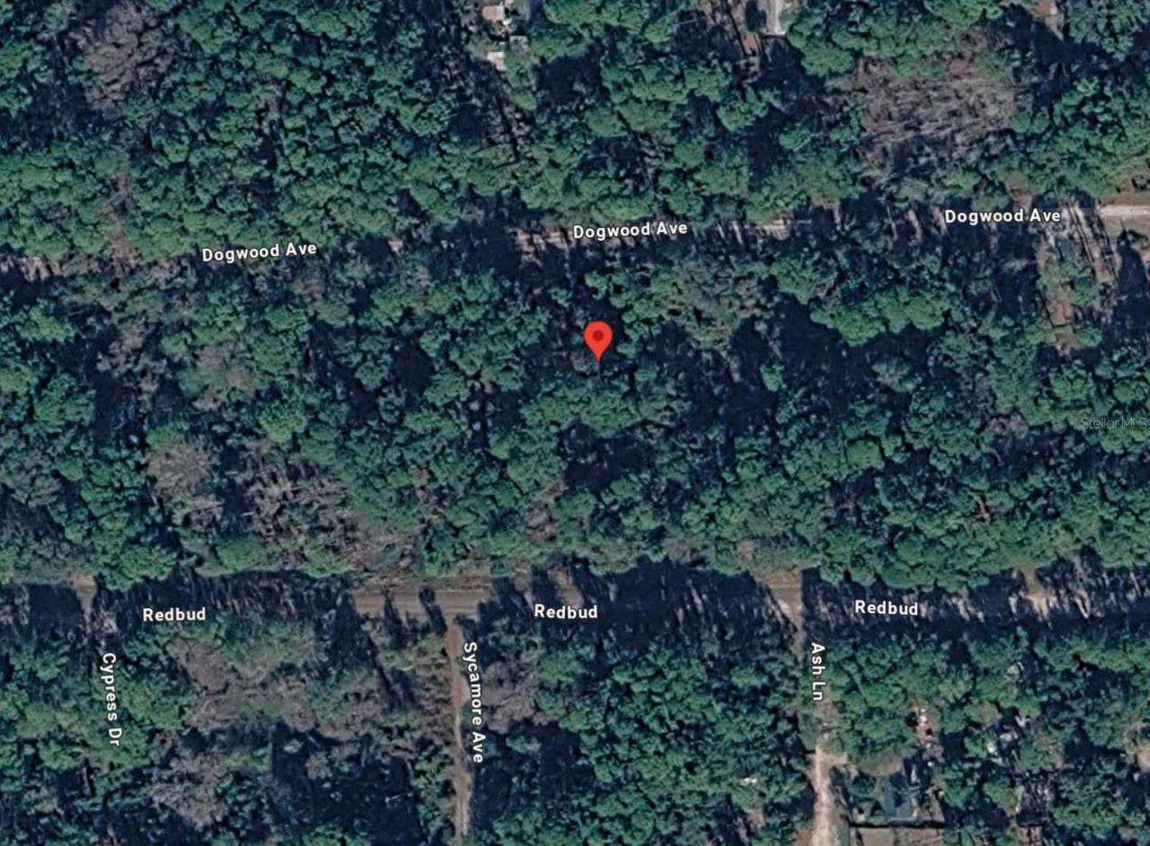 Photo 2 of 217 Dogwood Ave, Georgetown, FL 32139