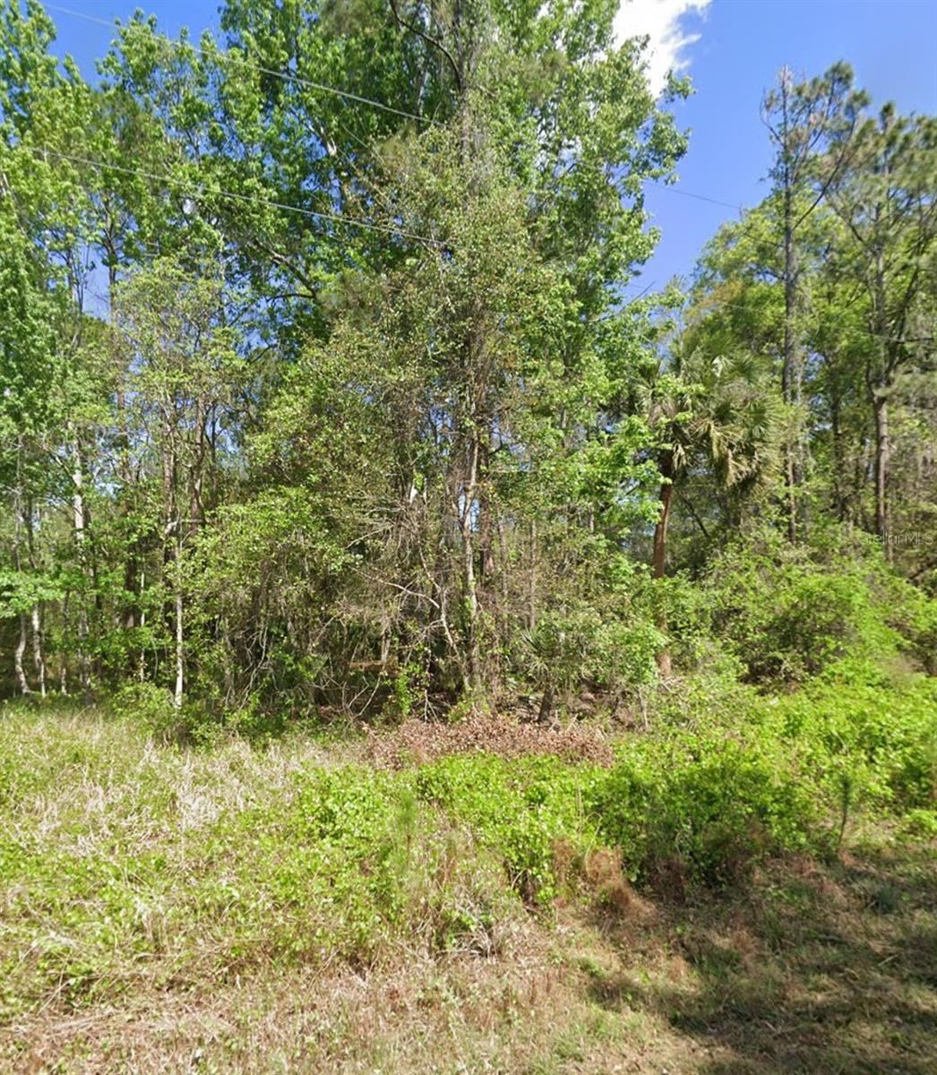 Photo 3 of 217 Dogwood Ave, Georgetown, FL 32139