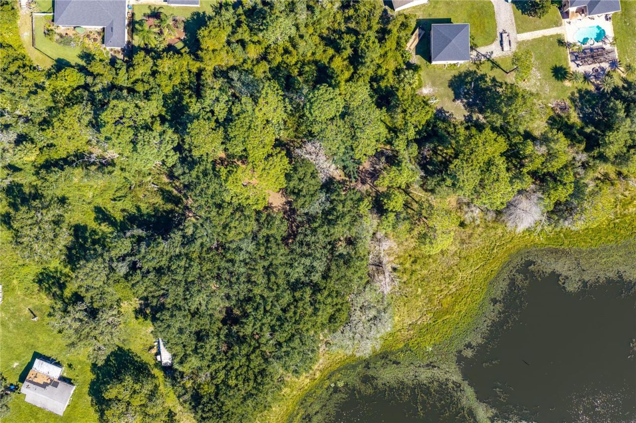 Photo 2 of N/a Doyle Rd, Osteen, FL 32764