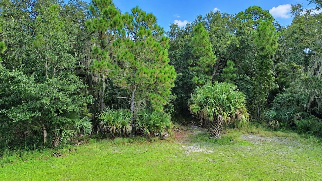 Photo 2 of , Oak Hill, FL 32759