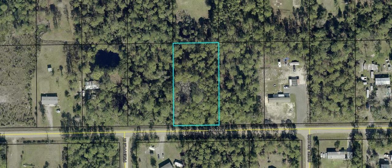 5794 Palm Ave, Bunnell, FL 32110