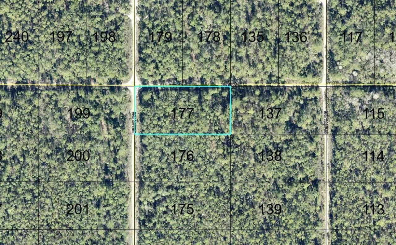177 Dillon Ave, Hastings, FL 32145