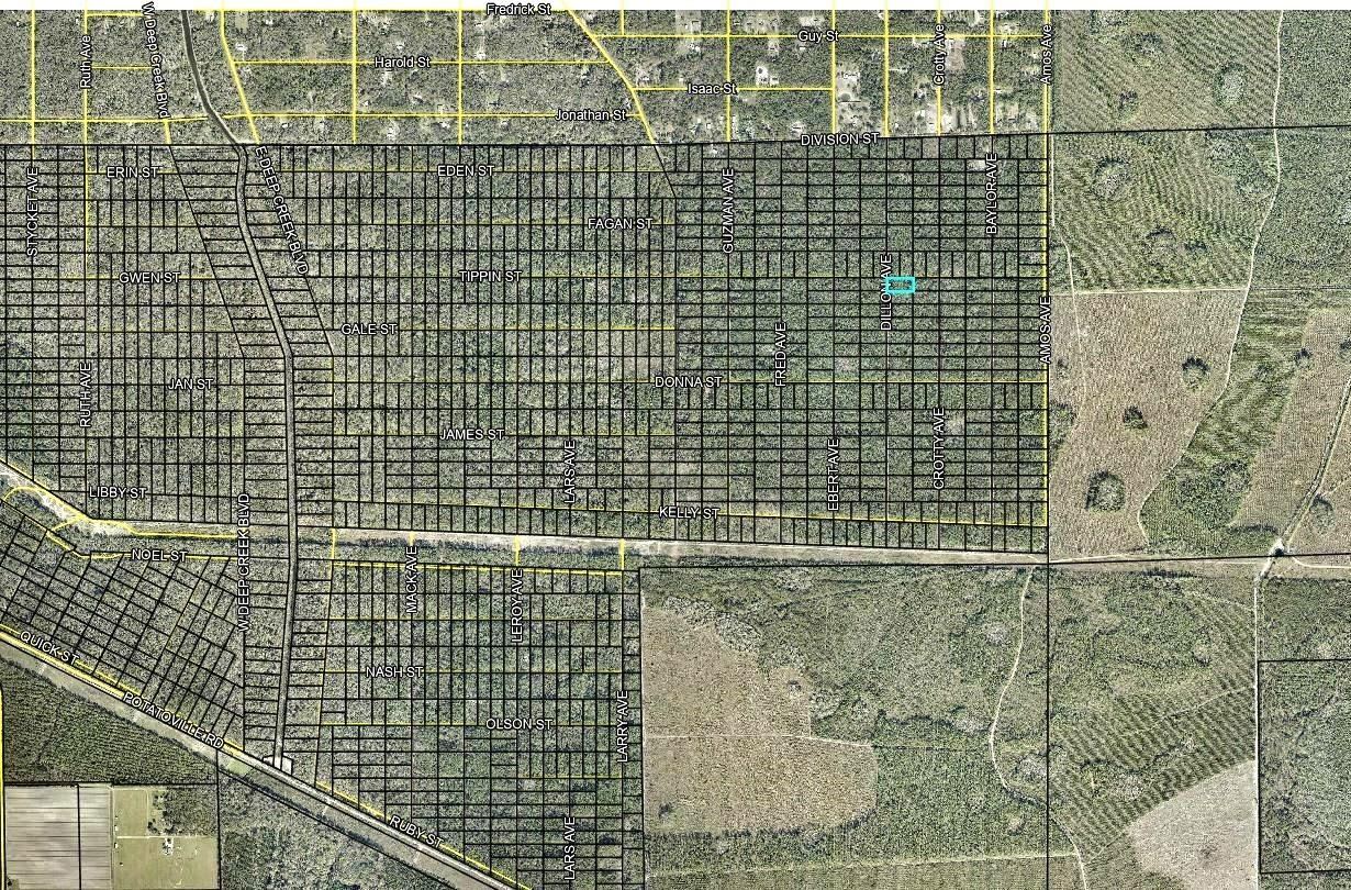 Photo 3 of 177 Dillon Ave, Hastings, FL 32145