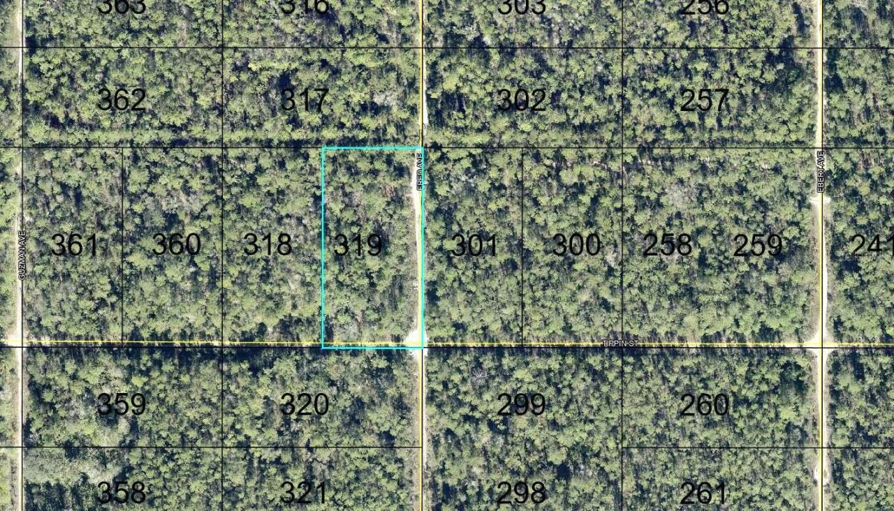 319 Tippin St, Hastings, FL 32145