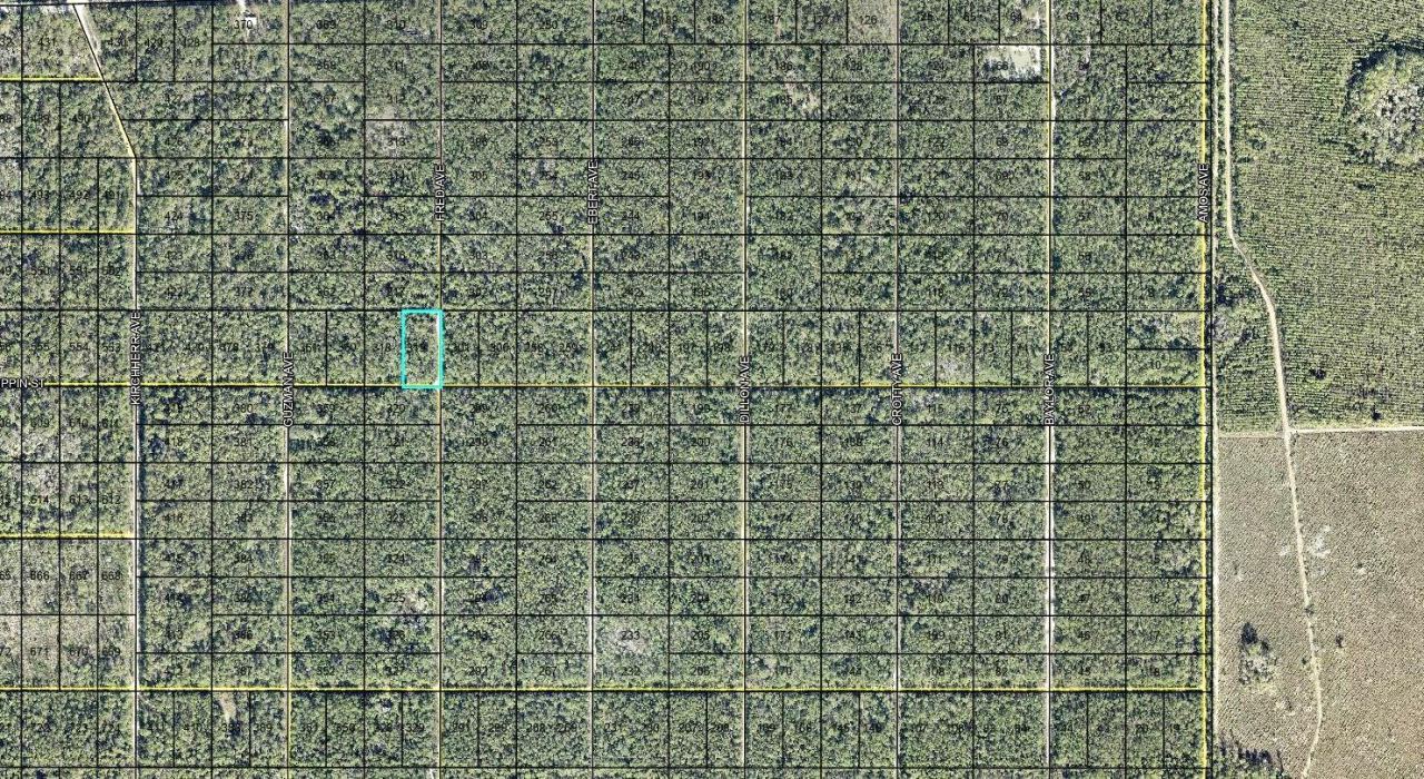 Photo 2 of 319 Tippin St, Hastings, FL 32145