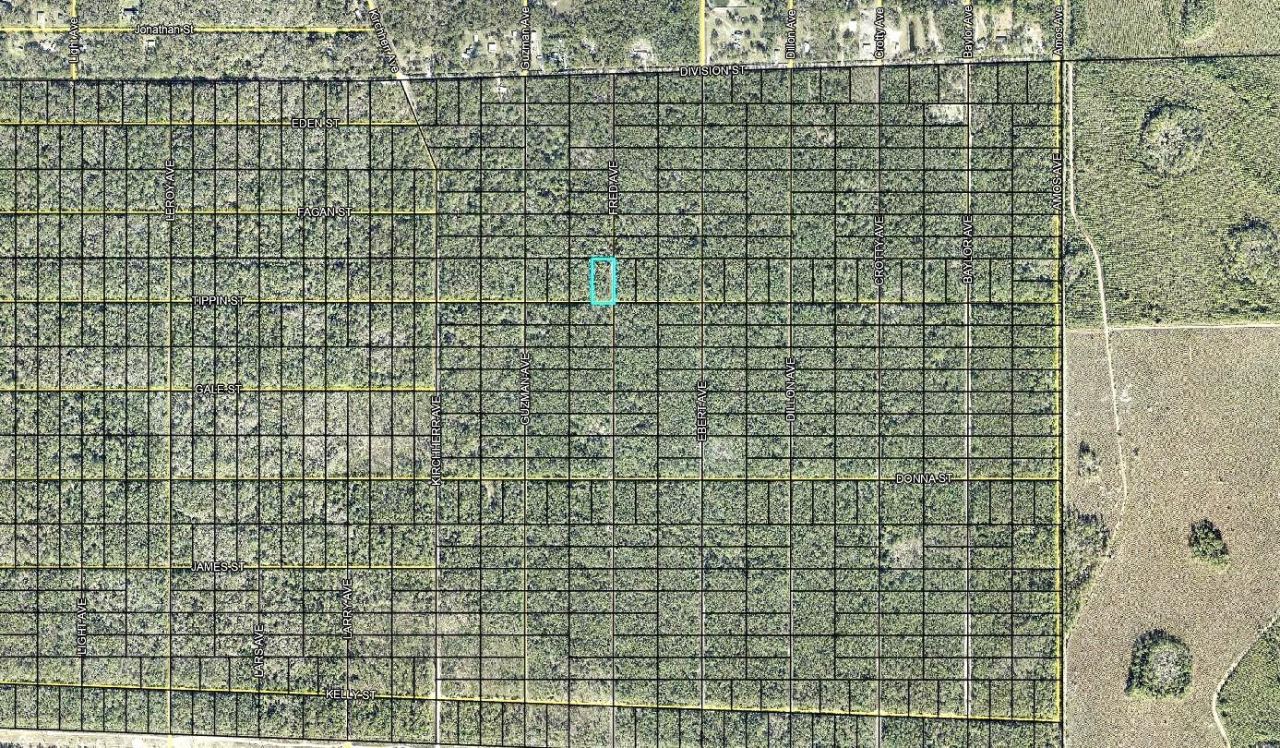 Photo 3 of 319 Tippin St, Hastings, FL 32145
